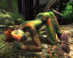 3d anthro argonian dar-ma mod oblivion scalie the_elder_scrolls