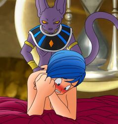 anthro anthro_on_female anthro_on_human bed beerus blush blushing breasts bulma_briefs cheating_female cheating_wife doggy_style dragon_ball dragon_ball_super felid felid_humanoid felidae feline female grabbing_ass grabbing_from_behind naked nude setthh98 sex straight vaginal_penetration