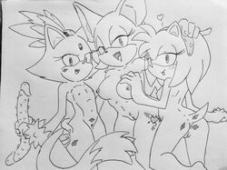 amy_rose blaze_the_cat dildo double_dildo female furry kiss_mark nude randomguy999 rouge_the_bat sega sonic_(series) textured_dildo yuri