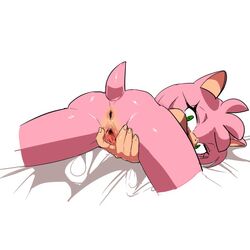 amy rose from sonic (series)