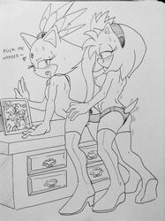 amy rose from sega by randomguy999