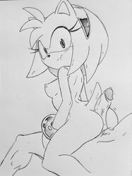 amy_rose buttjob female furry hotdogging human looking_back male nude penis randomguy999 sega sonic_(series)