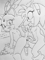 amy rose from sega by randomguy999