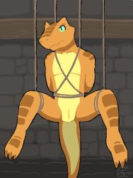 ambiguous_gender animal_genitalia animated anthro blinking bondage bondage bound dangling genital_slit genitals green_eyes hopful_anomenoe light_bondage lizard nude orange_body orange_scales orange_skin reptile restraints rope rope_bondage scales scalie slit solo spread_legs spreading