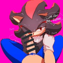 shadow the hedgehog from sonic (series)