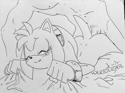 amy rose from sega by randomguy999