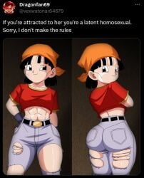 1female 1girl 1girls abs aged_up arms_crossed ass bandana big_ass black_eyes black_hair divine_wine dragon_ball female female_focus female_only jeans meme muscular muscular_female pan_(dragon_ball) panels shirt shitpost solo solo_female torn_pants twitter vampiranhya_(artist)