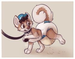 blush canine diaper feral hiked_leg leaking leash_and_collar peeing piss_droplets raised_leg raised_leg_pee trickylilfox