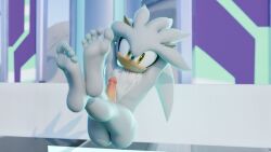 2024 3d anthro ass barefoot digital_media erection eulipotyphlan feet fuckboy fur genitals grey_body hedgehog hi_res looking_at_viewer male mammal multicolored_body nude penis sega silver_the_hedgehog smile smiling_at_viewer soles solo sonic_(series) sonic_the_hedgehog_(series) twintails3d two_tone_body white_body white_fur yellow_eyes