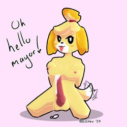 1futa 2019 animal_crossing animal_genitalia animal_penis anthro areolae balls breasts canine canine_penis cum cum_drip cumshot curvy eiirev erect_nipples erection fur furry futa_only futanari hands-free huge_penis intersex isabelle_(animal_crossing) knot large_balls large_breasts masturbation nintendo nipples nude penis text tongue tongue_out