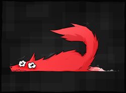 1boy 2d adventures_with_anxiety anxiety beebee_(adventures_with_anxiety) blush canine comfortik cum cum_on_floor cum_on_penis dog_penis fur gray_background lying red_fur solo wolf wolf_ears wolf_tail