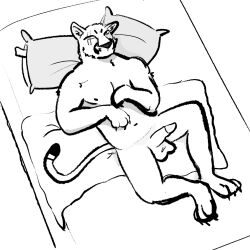 animal_genitalia anthro balls bed bulge cougar detailed_bulge dickinoatmeal felid feline furniture genital_outline genitals hi_res hindpaw humanoid luca_(dickinoatmeal) lying lying_on_bed male mammal markings on_bed paws sheath sheath_outline solo tail tail_markings