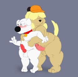 20th_century_fox 20th_century_studios absurd_res animal_genitalia animal_penis anthro balls blush brian_griffin canid canine canine_genitalia canine_penis canis chris_griffin chris_griffin_(dog_universe) clothing collar domestic_dog duo erection family_guy fuzefurry genitals groping_from_behind hair hair_over_eye hat headgear headwear hi_res knot male male/male mammal one_eye_obstructed overweight overweight_male penis