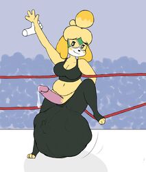 animal_crossing anthro balls breasts carnivorousvixen chubby cleavage cock_vore futa_only futanari intersex isabelle_(animal_crossing) nintendo penis precum vore wrestler wrestling wrestling_ring year_request