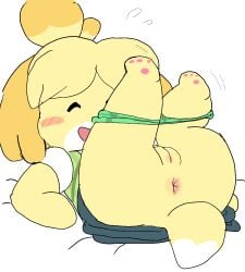 1girls animal_crossing anus blush bottomless closed_eyes clothed female female_only forbiddenchees8 green_panties isabelle_(animal_crossing) legs_up on_back on_bed open_mouth panties_down paws presenting pussy simple_background smile solo yellow_fur