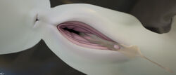 2019 3d anus aquatic_dragon close-up cum dragon female hi_res marine miraroo pussy whiteperson