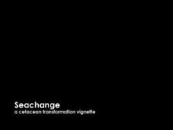 3d animated ass black_hair black_screen_roulette breasts breathing cetacean closed_eyes dolphin dorsal_fin ears fantasy female female_only feral fingernails fingers fins gryf_(artist) hands human hunched_over lips mammal mouth night nipples nose nude ocean posing sea sound story tagme tail tail_growth transformation transformation_sequence video water