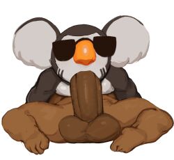 69_position animal_crossing anthro balls big_penis boner brown_body bud_(animal_crossing) duo erection eugene_(animal_crossing) eyewear felid fur gay genitals hi_res koala lion male male/male male_only mammal marsupial multicolored_body multicolored_fur nintendo nude oral oral_penetration orange_nose pantherine pec_ra penetration penis sex sunglasses vombatiform