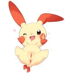 absurd_res anus cotora female feral_only generation_3_pokemon genitals hi_res nintendo no_humans plusle pokemon pokemon_(species) pussy solo spread_legs spreading