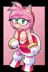 amy_rose breasts female flashing_breasts pulling_clothing sonic_(series) sonic_the_hedgehog_(series) thensfwbook