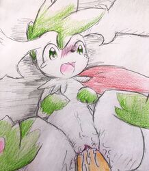 3_toes begging begging_pose black_nose blush colored_pencil_(artwork) cum cum_in_pussy cum_inside duo eiroru female first_person_view flora_fauna fur furry furry_only green_eyes green_fur hi_res legendary_pokemon male markings nintendo open_mouth pawpads penis pink_pawpads plant pokémon_(species) pokemon pokemon_(species) pussy shaymin shaymin_(sky_form) socks_(marking) solo_focus spread_legs spreading straight tears toes tongue traditional_media_(artwork) video_games wide_eyed