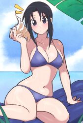 azumanga_daiou beach bikini black_hair cleavage jeffmiga nyamo_minamo_kurosawa