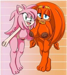 2girls anthro areola areolae asymmetrical_docking big_breasts big_breasts big_breasts big_nipples blue_eyes breast_size_comparison breast_size_difference breasts commission echidna green_eyes hedgehog humanoid nipples nude nude_female orange_hair original_character pink_body pink_fur pink_hair rougethedaisy sonic_(series) sonic_the_hedgehog_(series) tiboobs