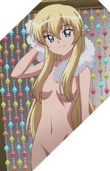 blonde_hair blue_eyes breasts cleavage conscious cropped elf elf_female female_elf hair_over_breasts highres long_hair looking_at_viewer lukshana nude pointy_ears screencap small_breasts stitched third-party_edit towel zero_no_tsukaima