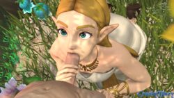 1boy 3d blonde_hair blue_eyes clothed_female_nude_male crankybluey fellatio female grabbing_penis kneeling looking_up necklace nintendo oral outdoors penis princess_zelda sandals source_filmmaker the_legend_of_zelda zelda_(breath_of_the_wild)