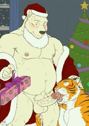 2016 anthro anthro_on_anthro balls blush christmas christmas_tree clothed clothing fake_beard felid fellatio gift hat holidays licking looking_down looking_up male mammal maxima_(artist) navel open_shirt oral pantherine pecs penis penis_lick pubes ribbons santa_coat santa_hat sex smile snow tiger tongue tongue_out tree ursid window yaoi