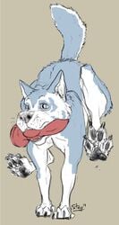 ambiguous_gender canid canine canine_dildo canis dildo domestic_dog feral full-length_portrait hi_res humor knotted_dildo koosh-ball mammal mouth_hold object_in_mouth pawpads paws portrait quadruped running sex_toy solo