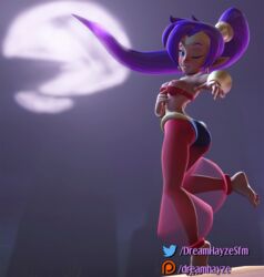 3d barefoot blue_eyes dancing dark-skinned_female dreamhayzesfm erect_nipples exposed_breasts feet large_ass moon nipples outdoors patreon ponytail purple_hair shantae shantae_(character) smooth_skin transparent_clothing wide_hips