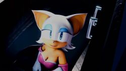 animated cumminham english_voice_acting furry mp4 rouge_the_bat sonic_(series) sonic_the_hedgehog_(series) sound tagme video voice_acted