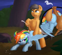 animal_genitalia ass ass_up balls cum cum_in_hair cumshot cutie_mark ejaculation equid equine female friendship_is_magic hair hi_res horse hot_dogging male mammal my_little_pony orgasm penis pony pterippus pussy quibble_pants_(mlp) rainbow_dash_(mlp) rear_view sapsan sex straight straight_hair wings