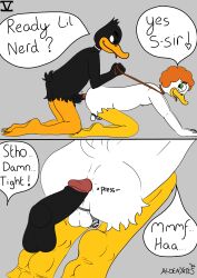 absurd_res anal anatid animal_genitalia animal_penis anseriform avian barefoot bird chastity_(disambiguation) comic daffy_duck dominant duck feet hi_res looney_tunes male male/male warner_brothers