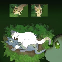 blue_eyes bluestar_(warriors) feline feral_on_feral incest snowfur_(warriors) thrushpelt_(warriors) watching