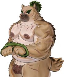 anthro balls belly blush brown_body brown_fur canid canine canis domestic_dog flaccid foreskin fur genitals hi_res lifewonders male mammal musclegut muscular navel nipples nude nuhoangxitray pecs penis scar solo tokyo_afterschool_summoners yasuyori_(tas)