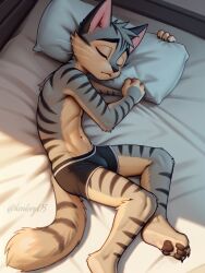 1male 2024 ai_edit ai_generated anthro bed bedroom boxers bulge cat_humanoid cat_tail domestic_cat fur furry furry_only kentory05 lackadaisy leg_bent legs_bent male male_only on_bed paws penis_under_clothes pillow rocky_rickaby semi_nude sleeping solo stripes tail underwear webcomic