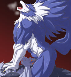 5_fingers anal anal_sex anthro blush broken_(artist) canid canine canis capcom darkstalkers erection fur gallon hi_res jon_talbain male male_only mammal muscular muscular_male penetration penis sweat vampire_savior video_games were werecanid werecanine werewolf white_fur wolf yaoi