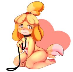 2019 animal_crossing blonde_hair blush breasts canine collar collar_and_leash cute englam englamu female female_focus female_only furry gray_eyes grey_eyes heart_background isabelle_(animal_crossing) leash looking_away nintendo nipples pink_background thighs white_background yellow_fur