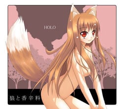 1girls akino_sora animal_ears blush brown_hair completely_nude completely_nude_female cute_fang holo long_hair medium_breasts night nude nude_female nudist outdoors outside red_eyes spice_and_wolf tail wolf_ears