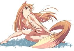 1girls animal_ears barefoot blush brown_hair completely_nude completely_nude_female feet flat_chest holo long_hair nude nude_female nudist outdoors outside p.k. red_eyes smile spice_and_wolf tail toes