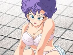 4:3 animated approximated_aspect_ratio blue_eyes bra breasts censored dragon_ball dragon_ball_(classic) facesitting female handjob large_breasts lowres lying mole nam_(dragon_ball) panties penis precum pubic_hair purple_hair ranfan seductive seductive_smile sitting sitting_on_person smile underwear