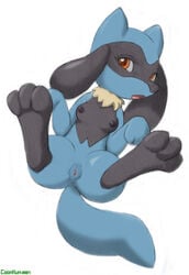 2007 black_fur blue_fur breasts color coonkun female female_only looking_at_viewer lying nipples nude on_back open_eyes open_mouth pokemon riolu solo tagme vulva