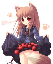 1girls animal_ears apple apples blush breasts brown_hair cute_fang female female_only food fruit holo long_hair no_panties red_eyes skirt skirt_basket skirt_lift small_breasts spice_and_wolf tail wolf_ears yokuran