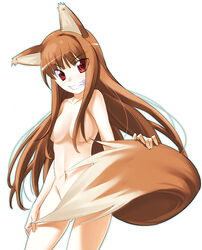 1girls animal_ears brown_hair chikugen_shiina holo long_hair nude red_eyes small_breasts spice_and_wolf tail wolf_ears