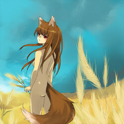 1girls animal_ears back backboob blush completely_nude completely_nude_female holo loo nude nude_female nudist outdoors outside small_breasts spice_and_wolf tail wolf_ears