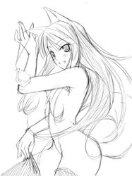 holo from spice and wolf by ribi