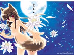 1girls animal_ears blush chimaro completely_nude completely_nude_female flower holo moon night night_sky nude nude_female nudist original outdoors outside petals sky small_breasts spice_and_wolf tail wolf_ears