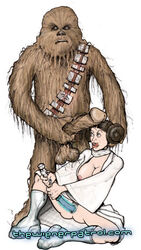 a_new_hope chewbacca interspecies princess_leia_organa star_wars wookiee